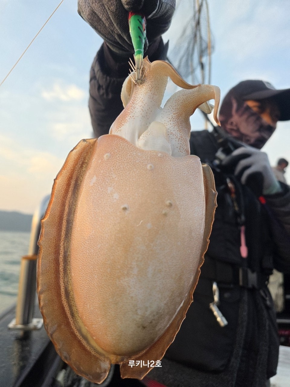 사용자가 올린 이미지