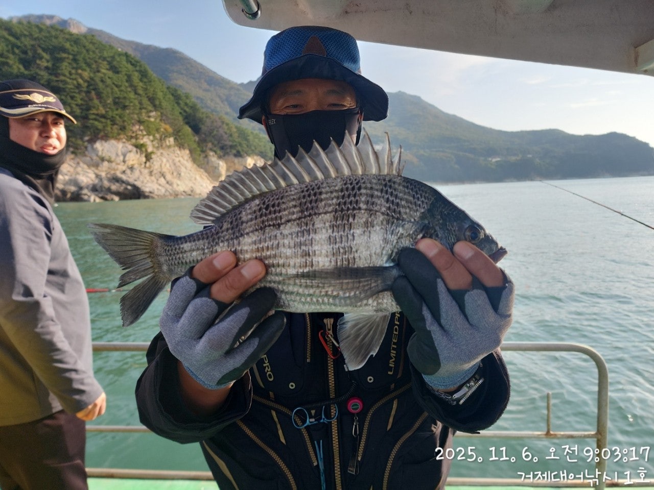 사용자가 올린 이미지