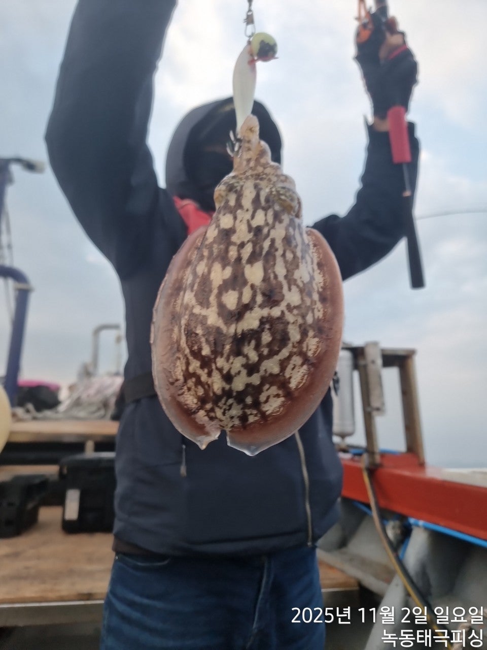 사용자가 올린 이미지