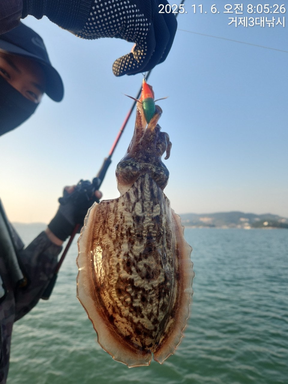 사용자가 올린 이미지