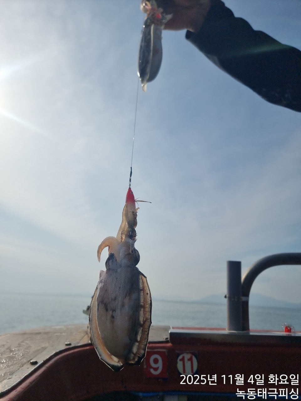 사용자가 올린 이미지