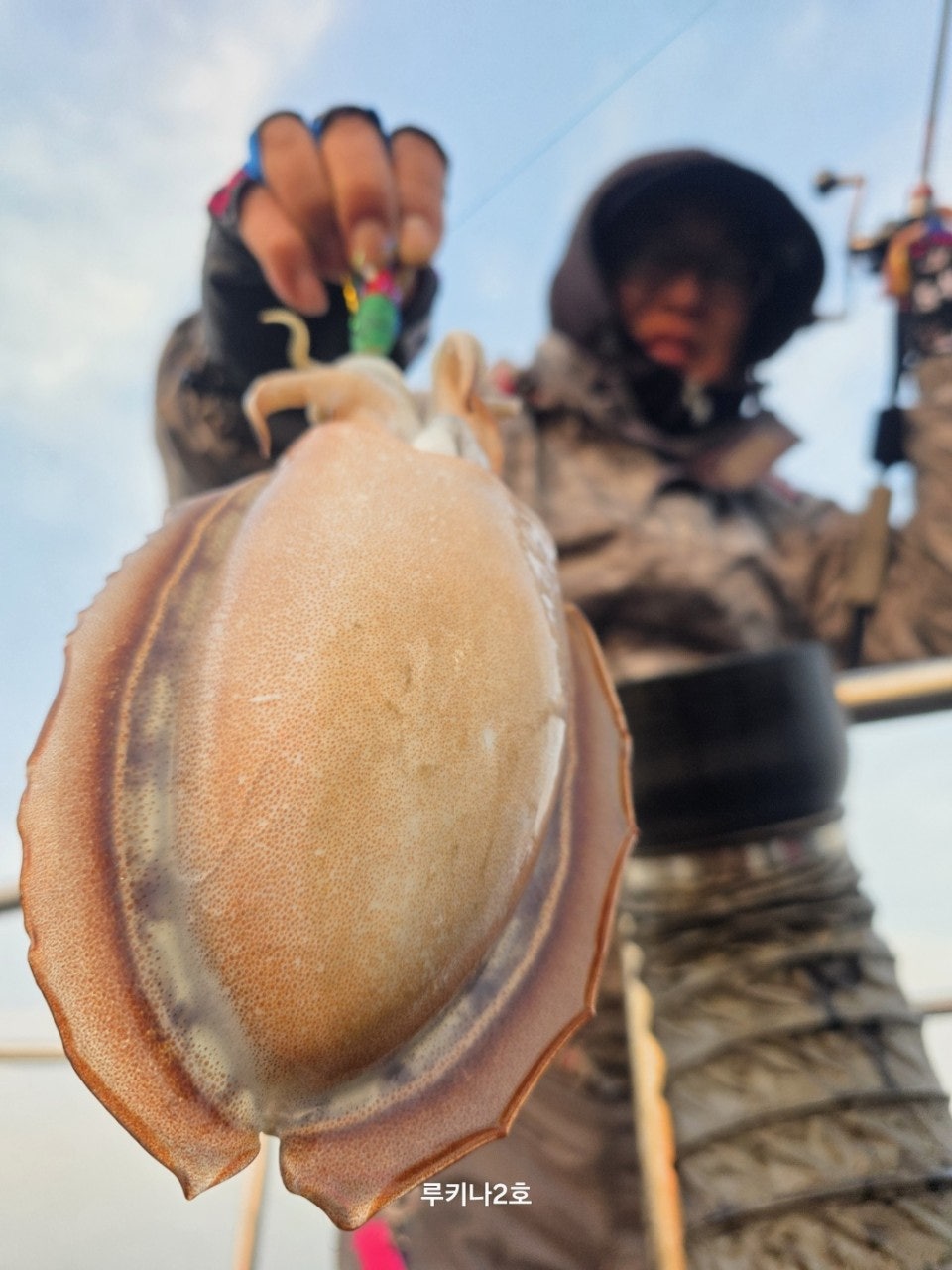 사용자가 올린 이미지