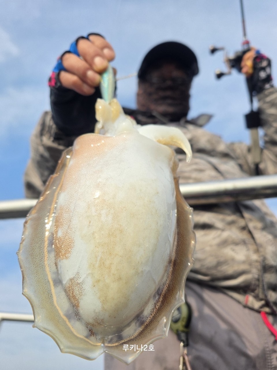 사용자가 올린 이미지