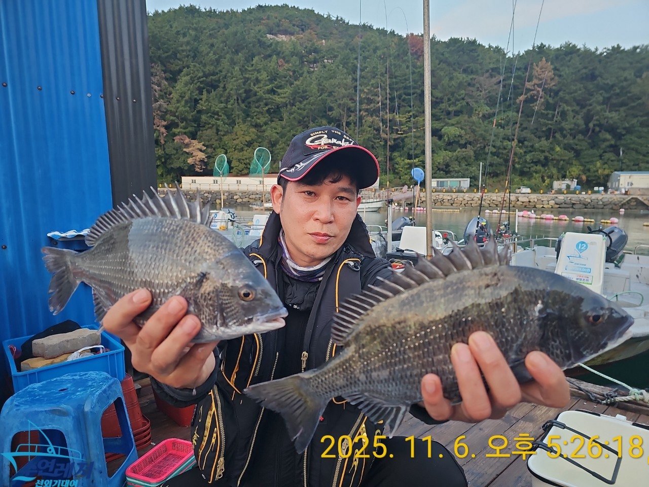 사용자가 올린 이미지