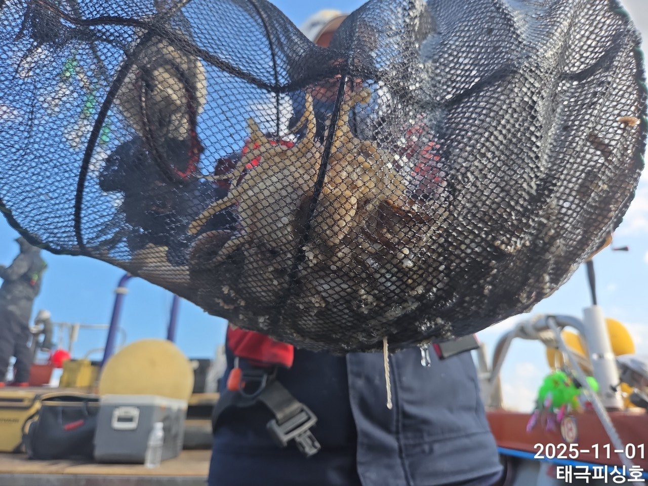 사용자가 올린 이미지