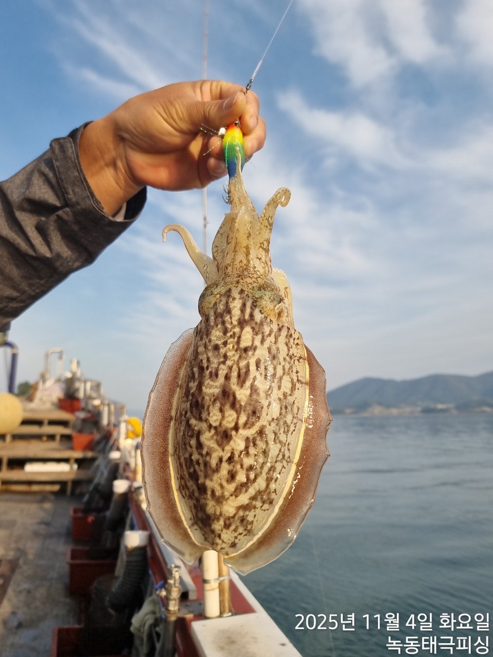 사용자가 올린 이미지