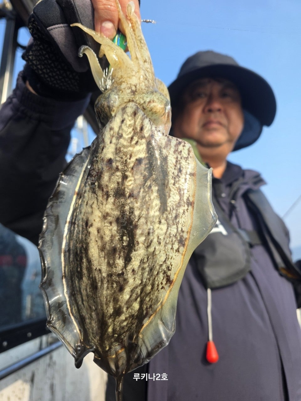 사용자가 올린 이미지