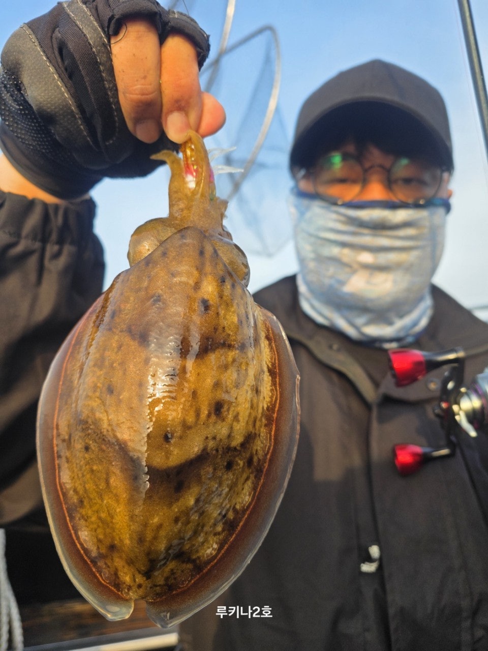 사용자가 올린 이미지