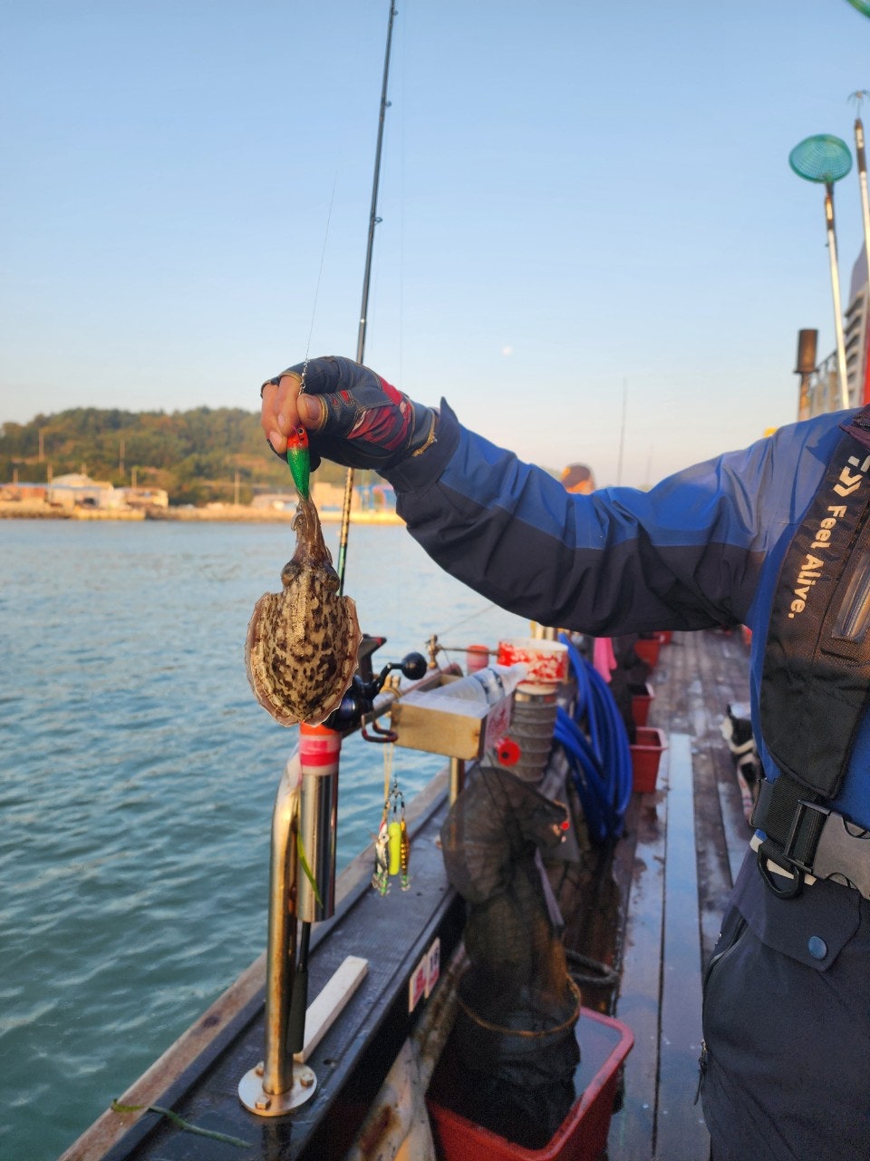 사용자가 올린 이미지