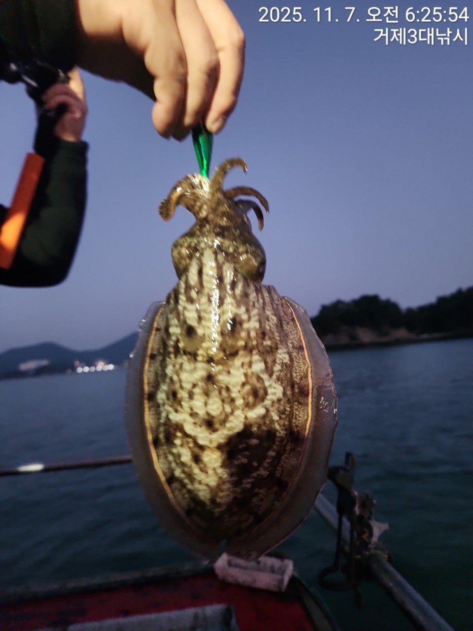 사용자가 올린 이미지