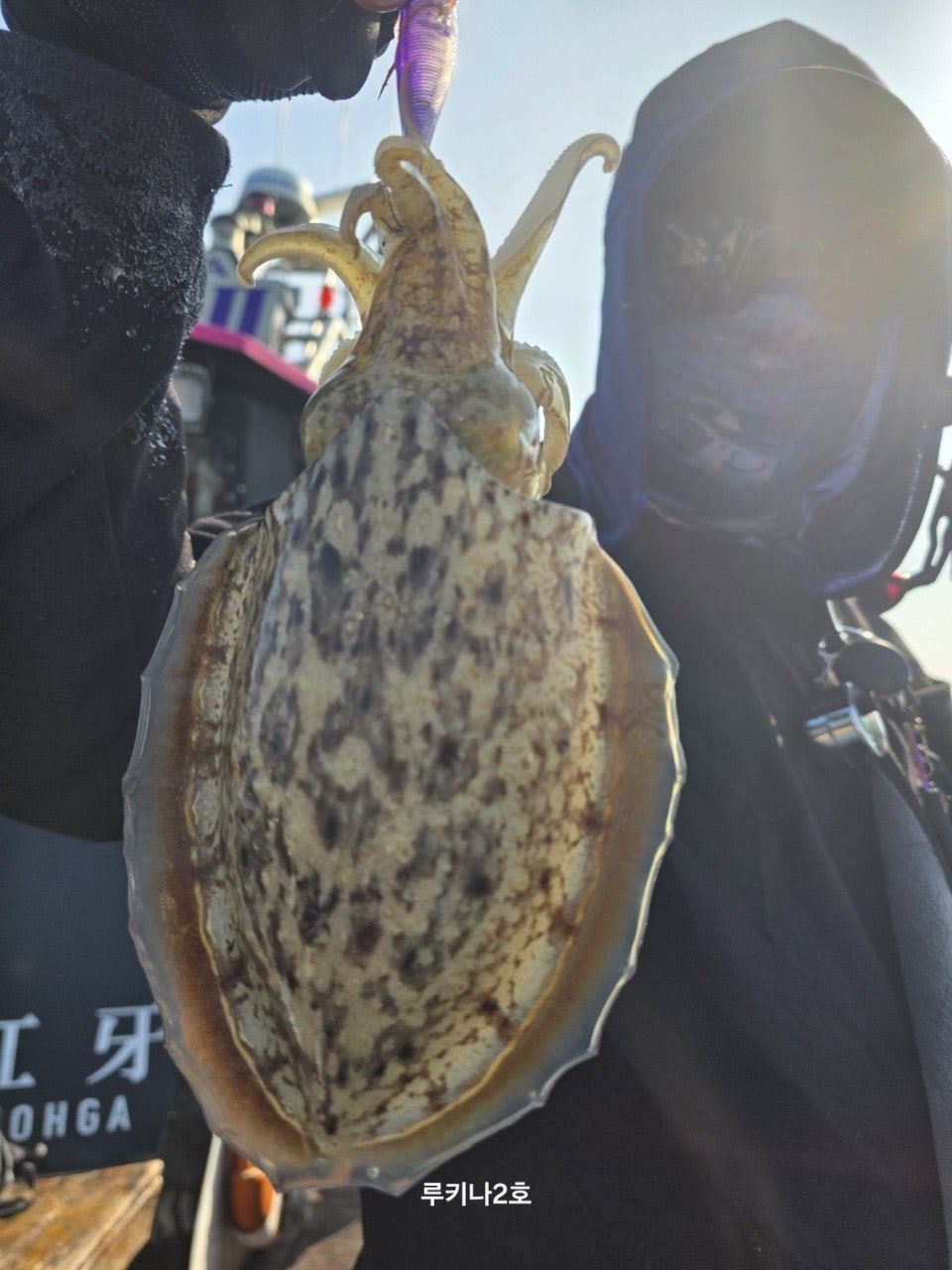 사용자가 올린 이미지