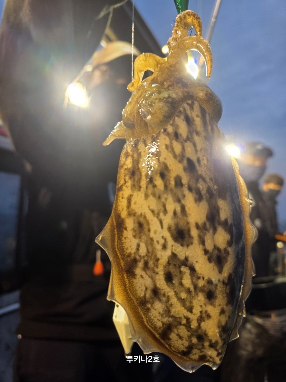 사용자가 올린 이미지