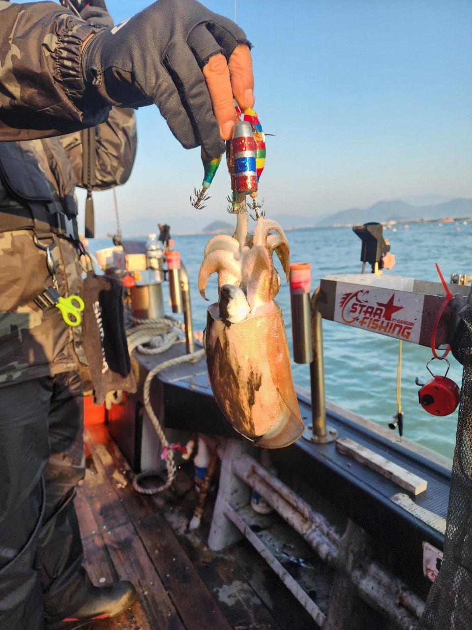 사용자가 올린 이미지