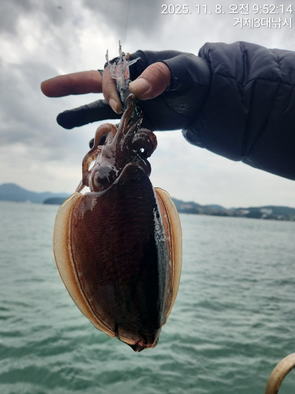 사용자가 올린 이미지