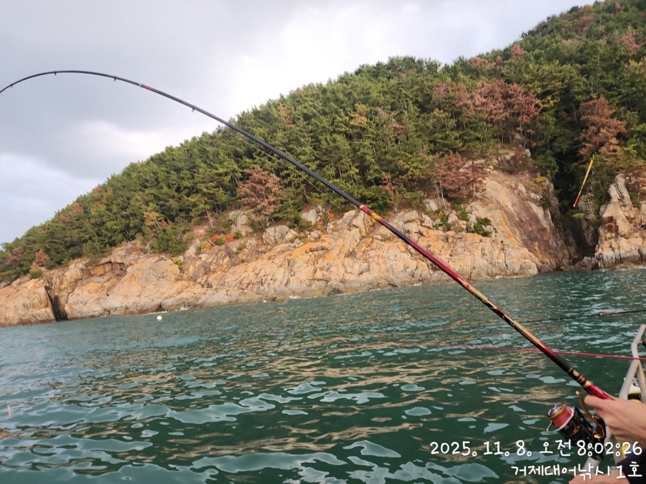 사용자가 올린 이미지