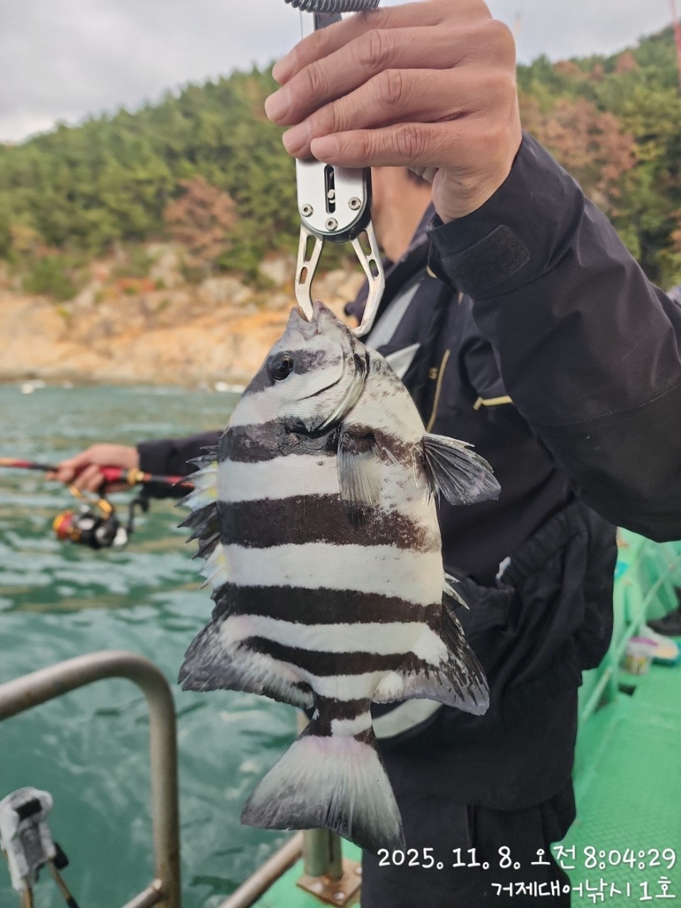 사용자가 올린 이미지