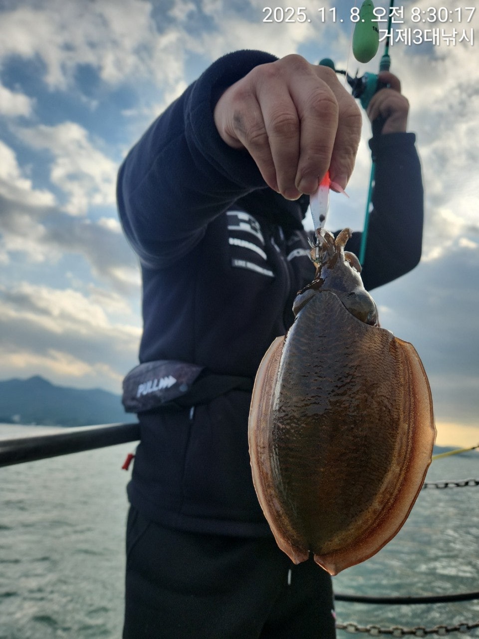 사용자가 올린 이미지