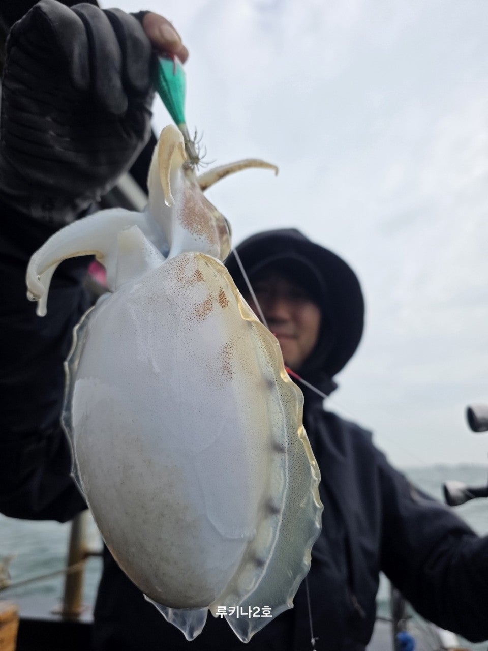 사용자가 올린 이미지