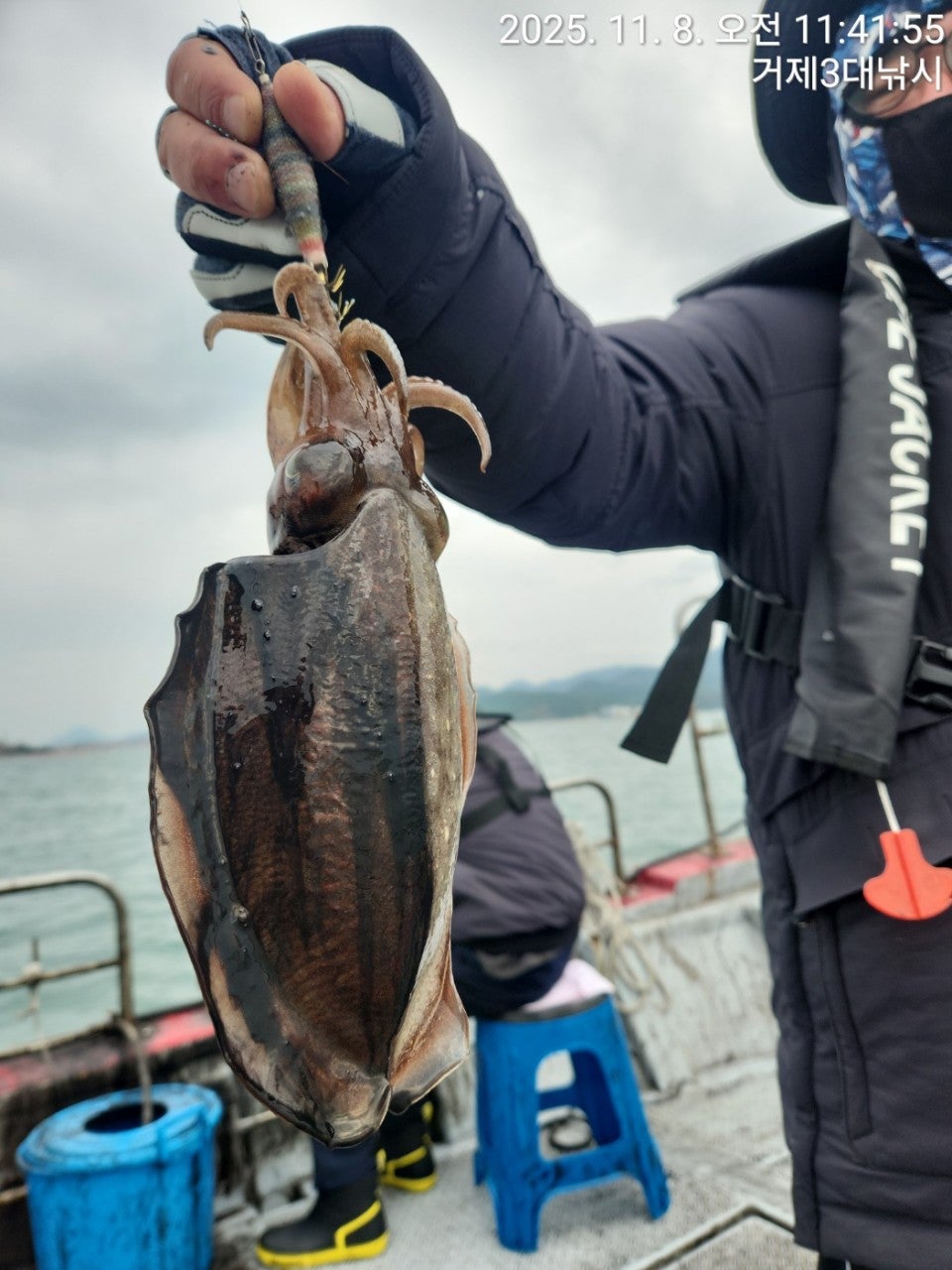 사용자가 올린 이미지