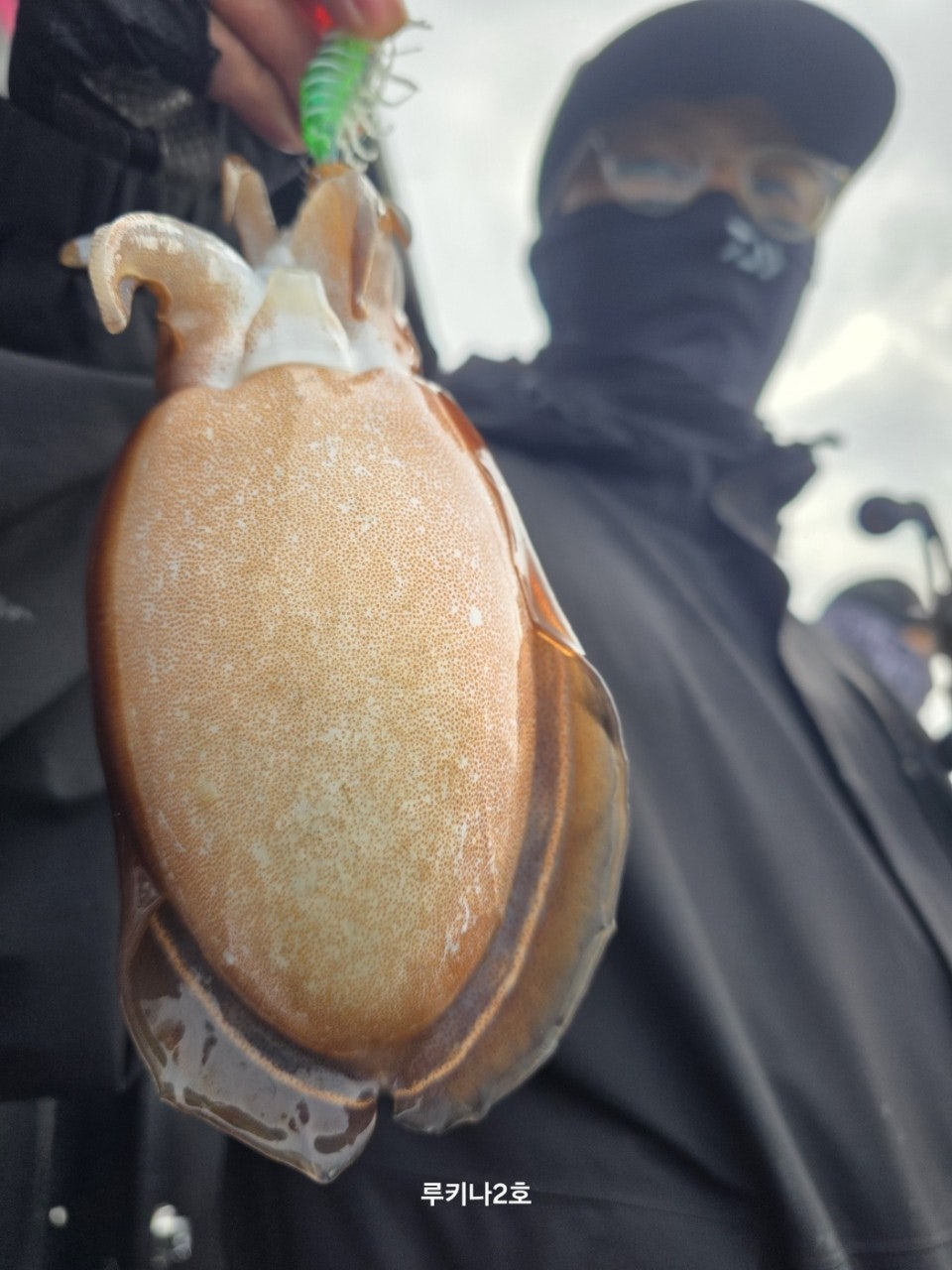 사용자가 올린 이미지