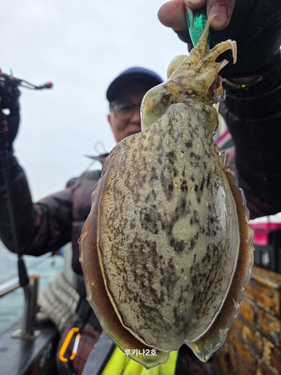 사용자가 올린 이미지