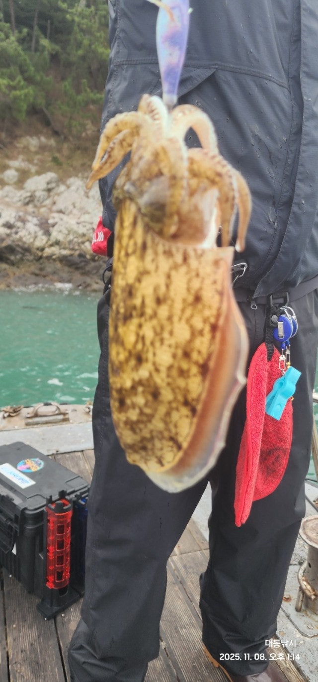 사용자가 올린 이미지