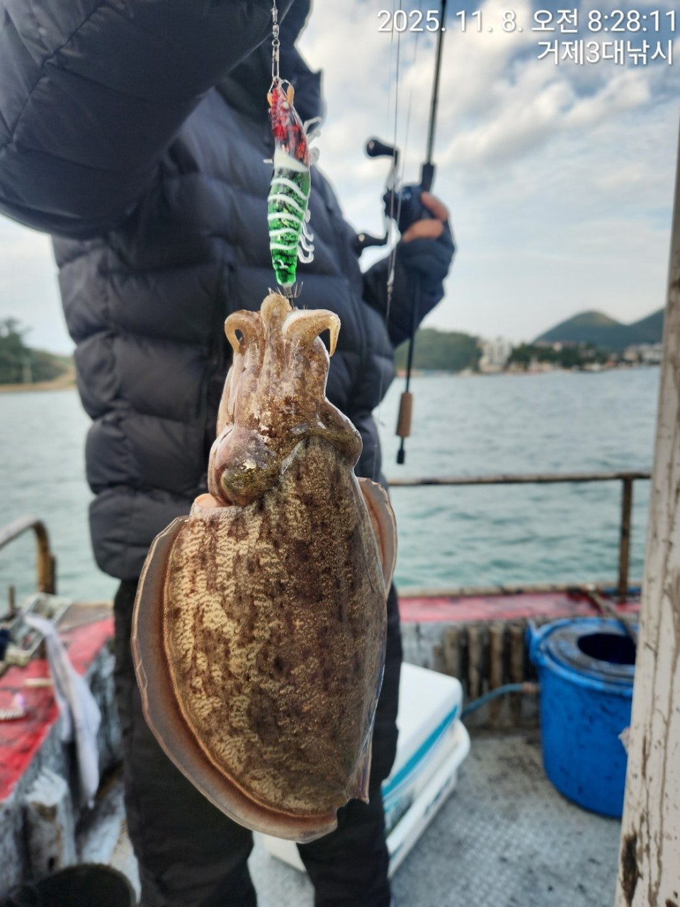 사용자가 올린 이미지