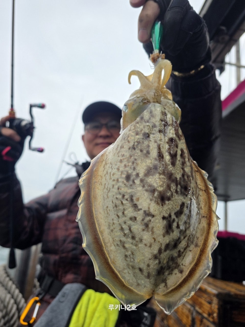 사용자가 올린 이미지