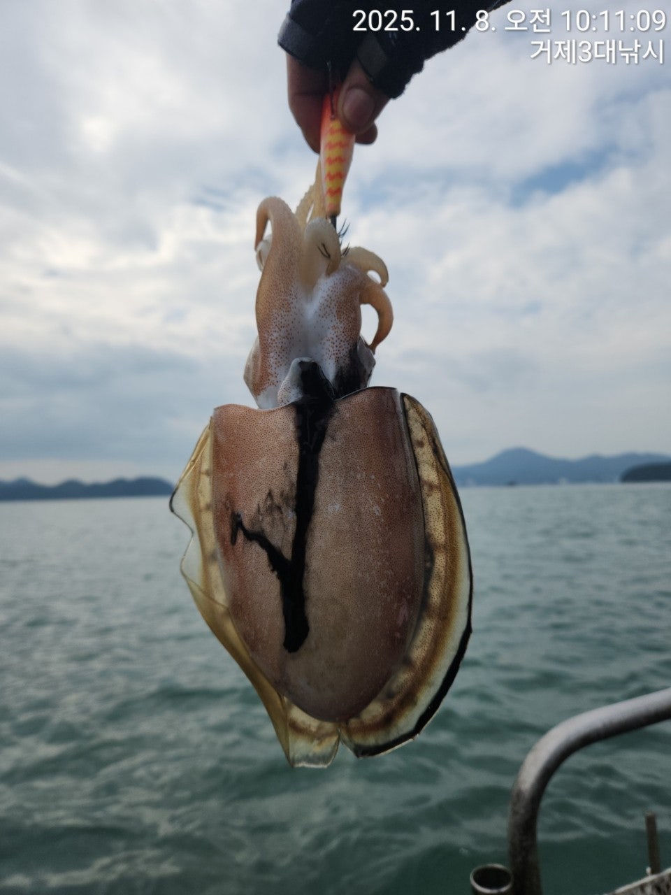 사용자가 올린 이미지