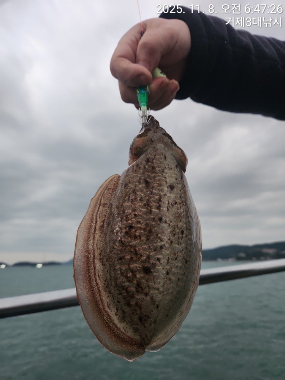 사용자가 올린 이미지