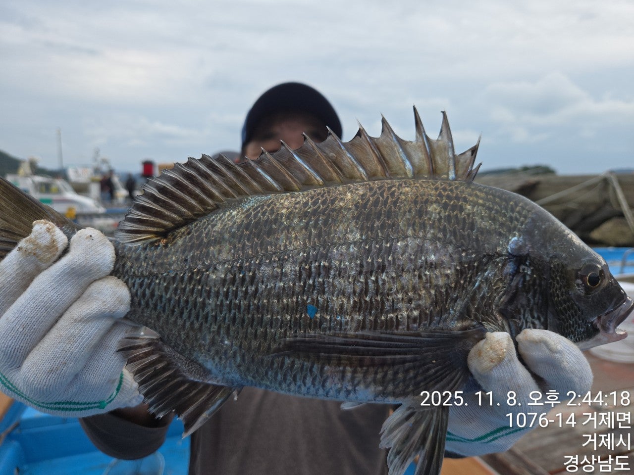 사용자가 올린 이미지