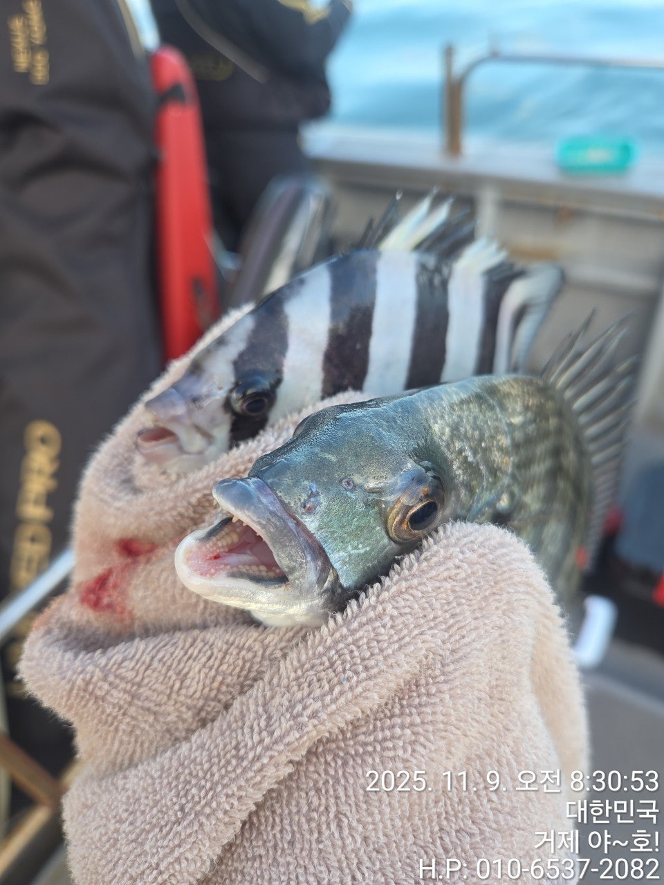 사용자가 올린 이미지