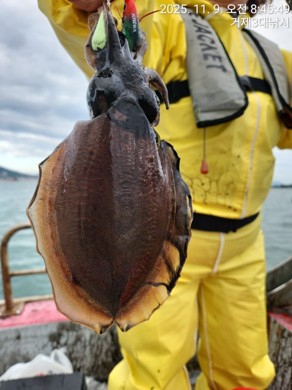 사용자가 올린 이미지