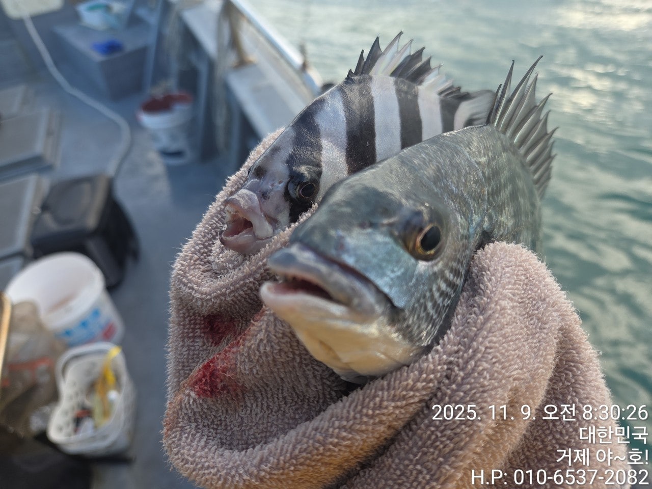 사용자가 올린 이미지