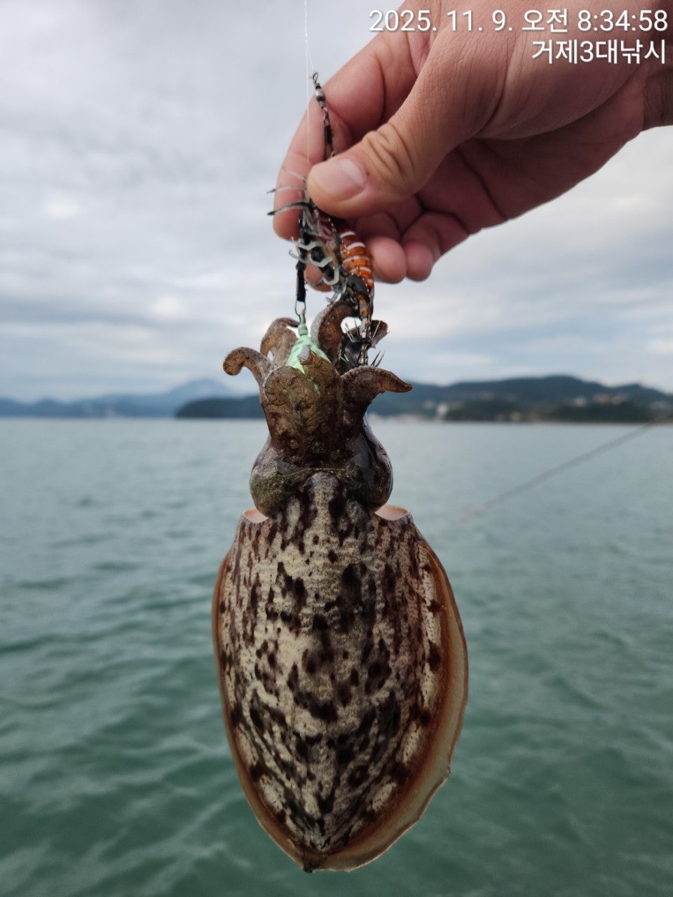 사용자가 올린 이미지