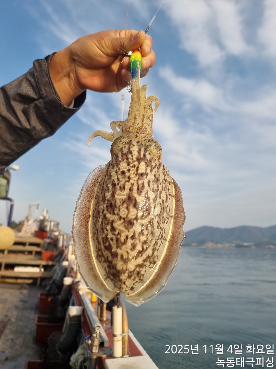 사용자가 올린 이미지