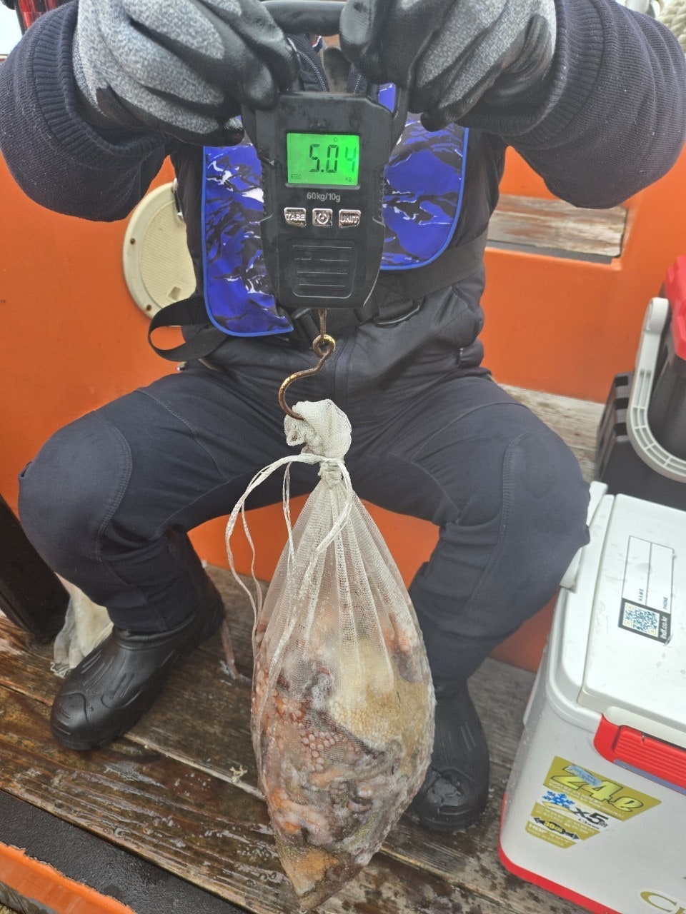 사용자가 올린 이미지