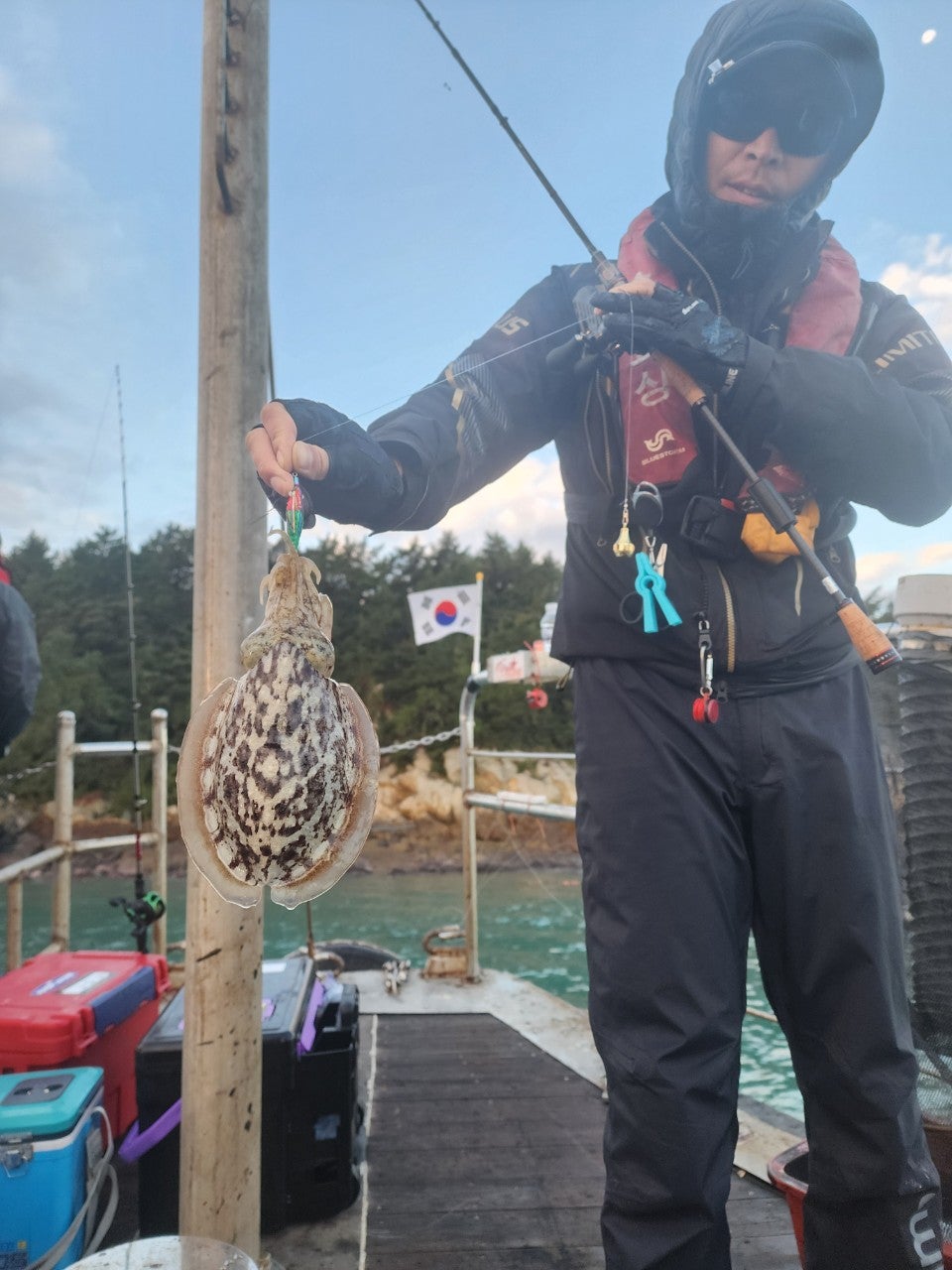 사용자가 올린 이미지