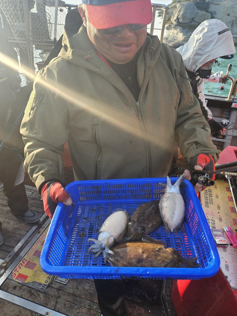 사용자가 올린 이미지