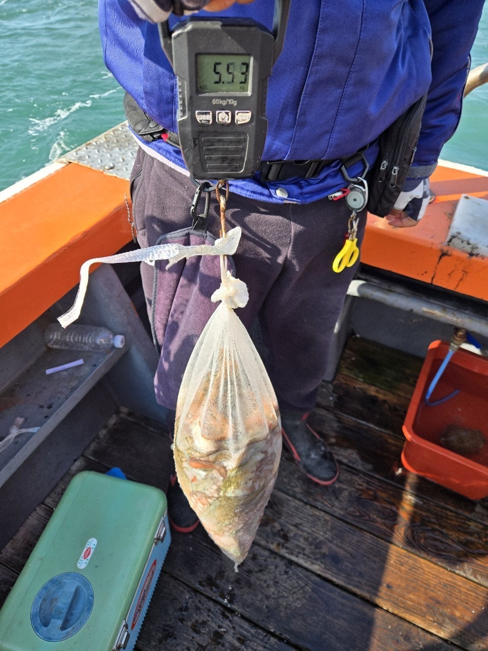 사용자가 올린 이미지