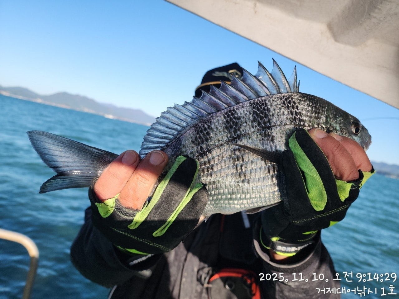 사용자가 올린 이미지