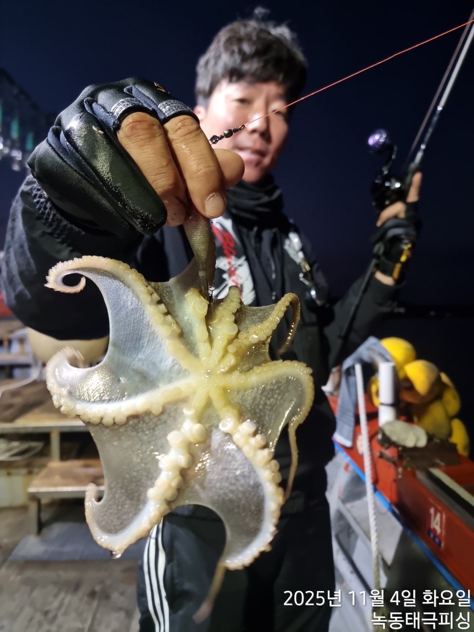 사용자가 올린 이미지