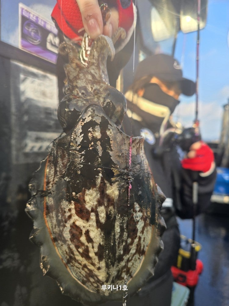 사용자가 올린 이미지