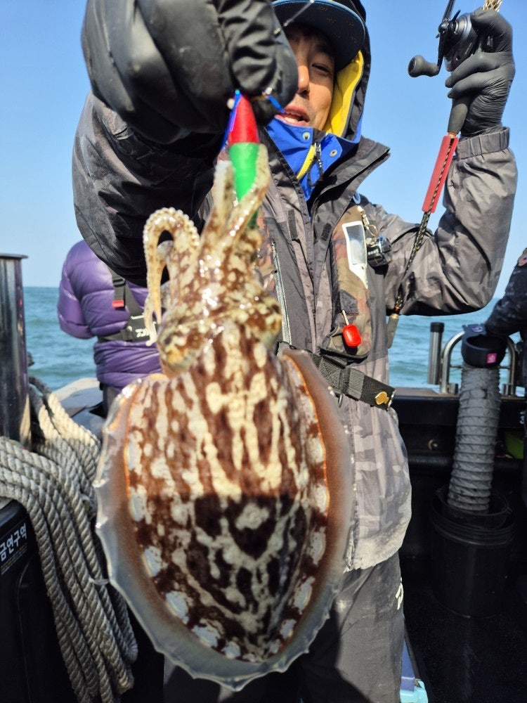 사용자가 올린 이미지