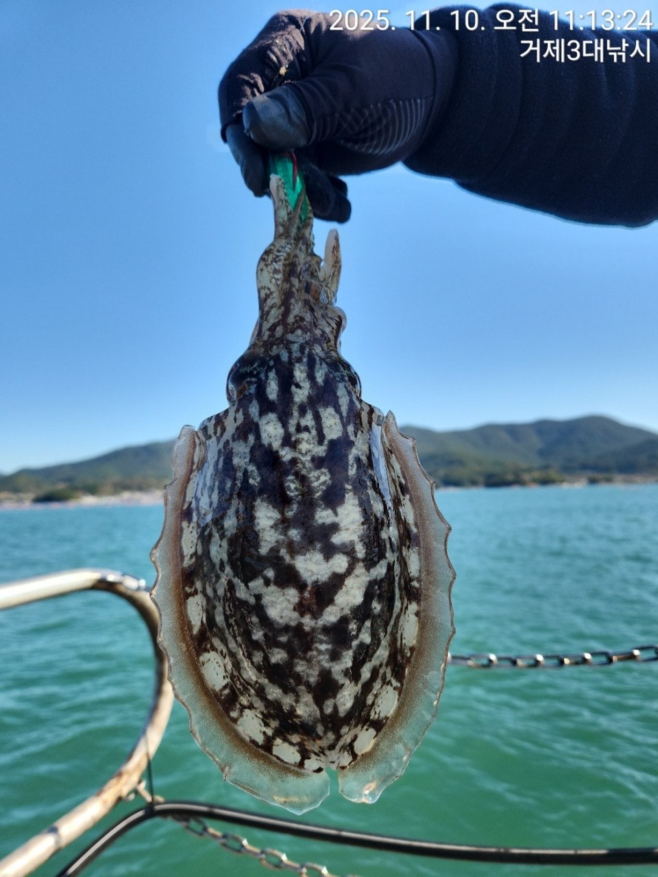 사용자가 올린 이미지