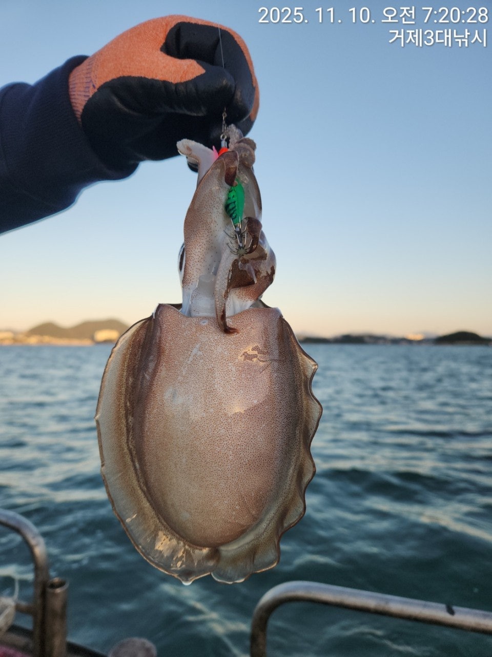 사용자가 올린 이미지