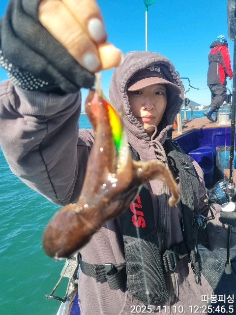 사용자가 올린 이미지