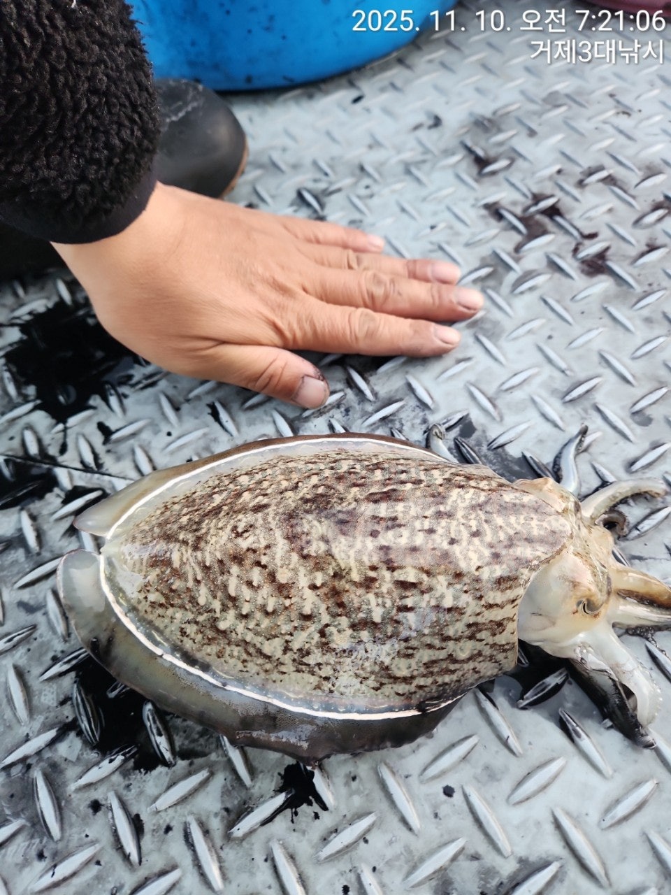 사용자가 올린 이미지