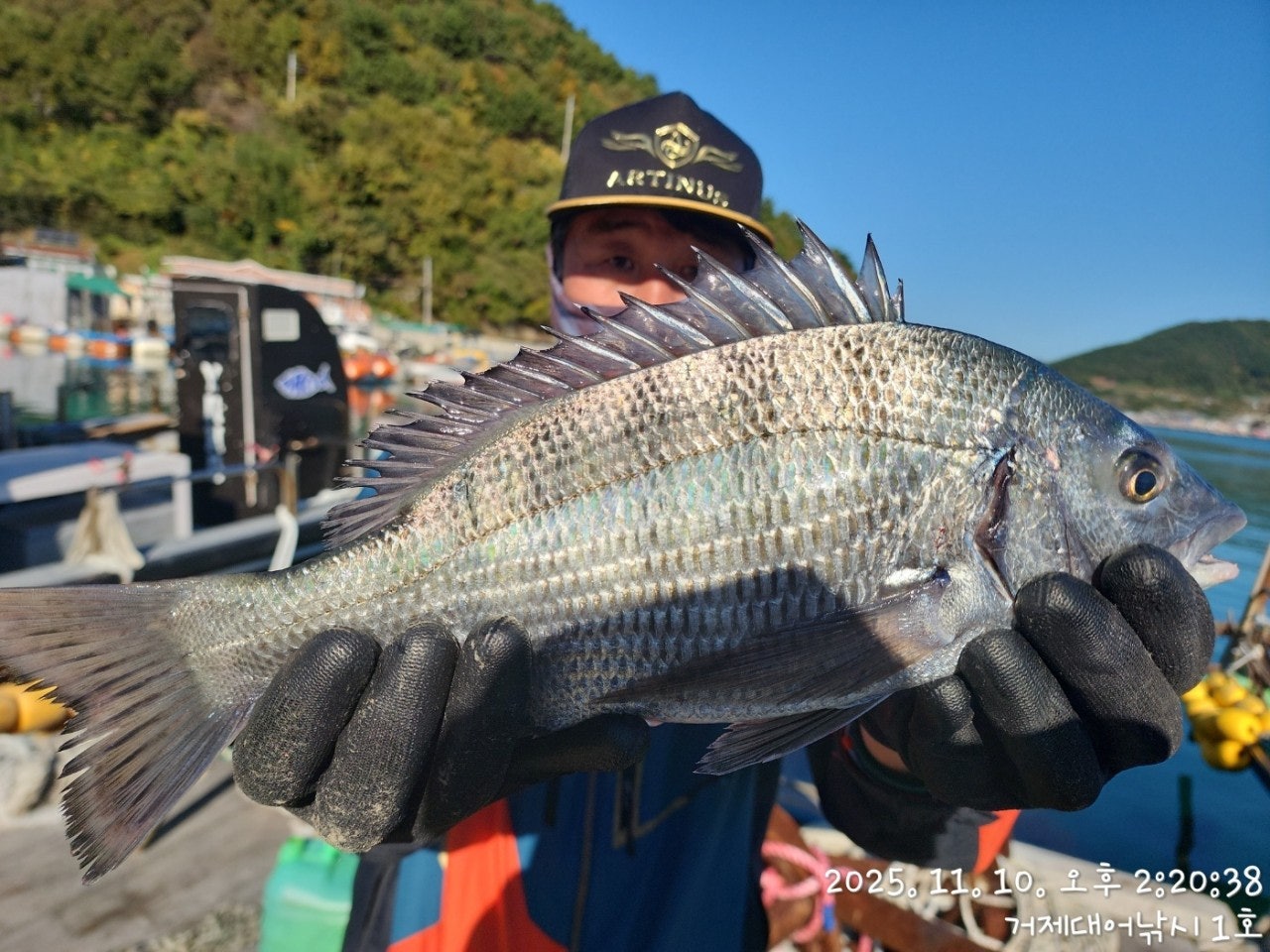 사용자가 올린 이미지