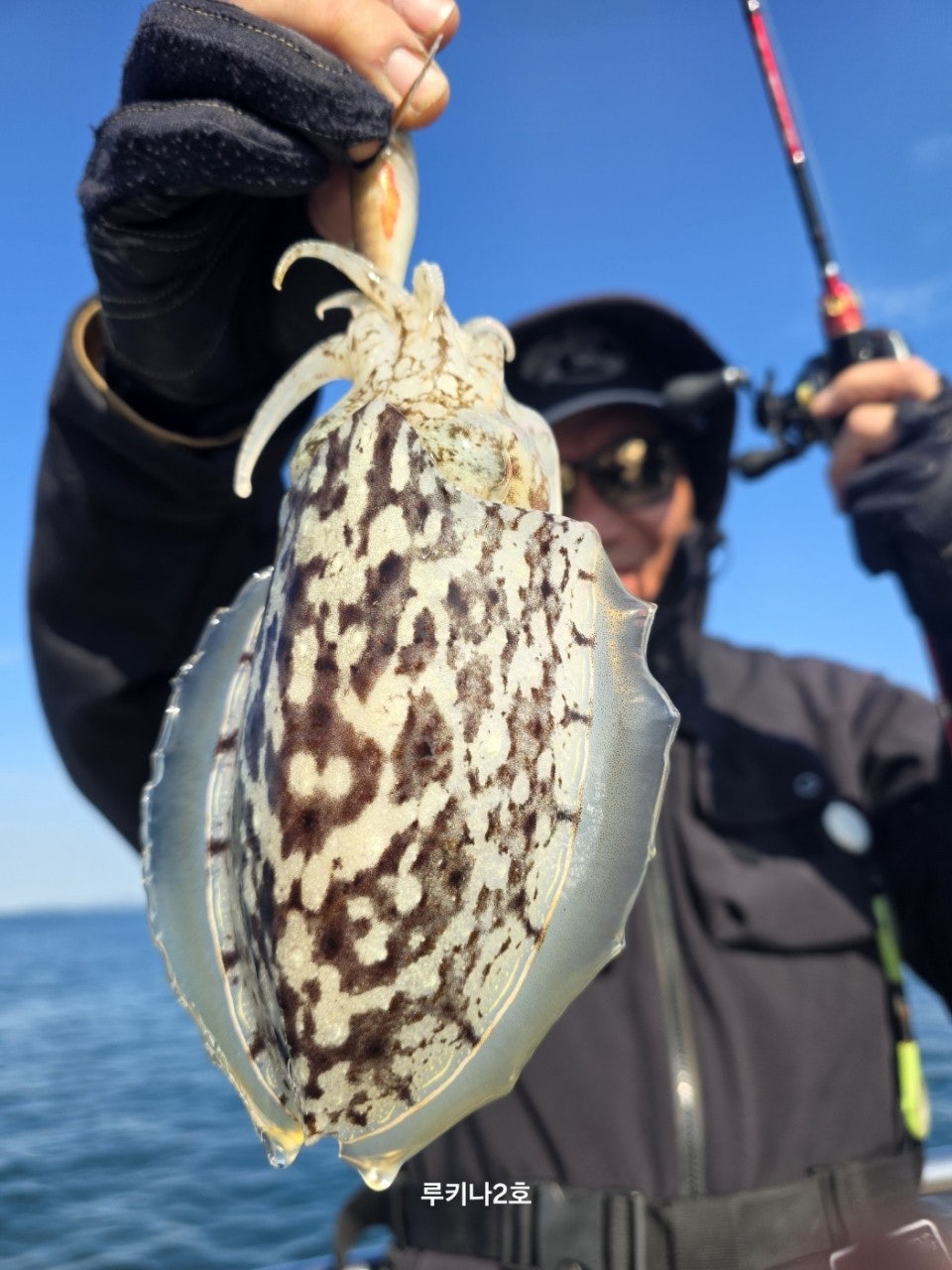 사용자가 올린 이미지